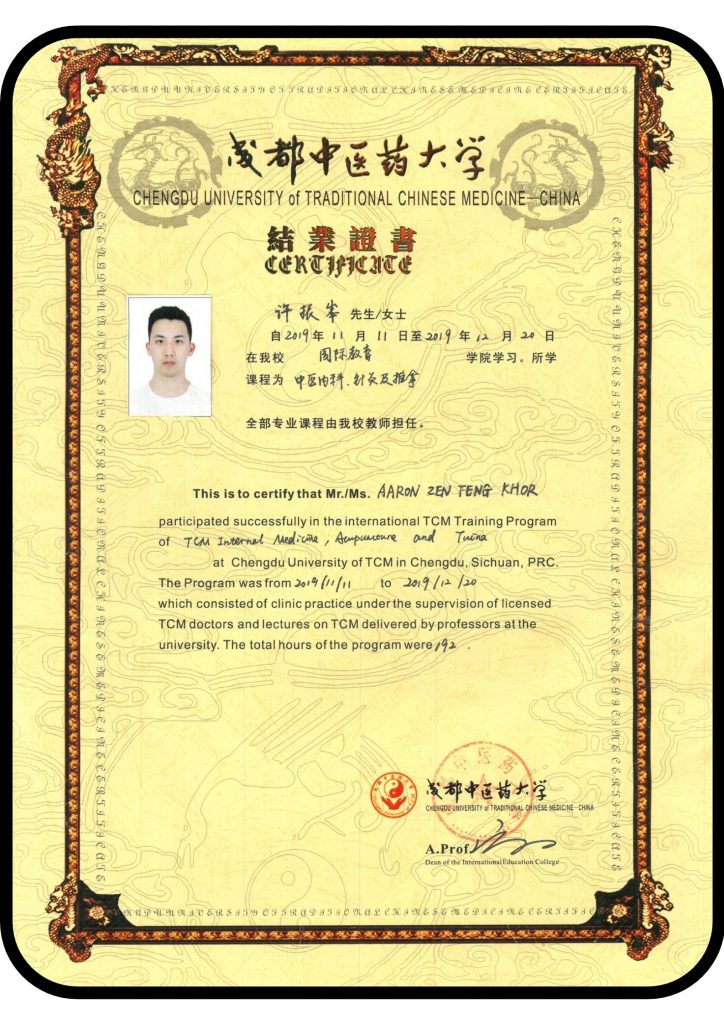 Master-Aaron-Khor-Cheng-Du-Certificate