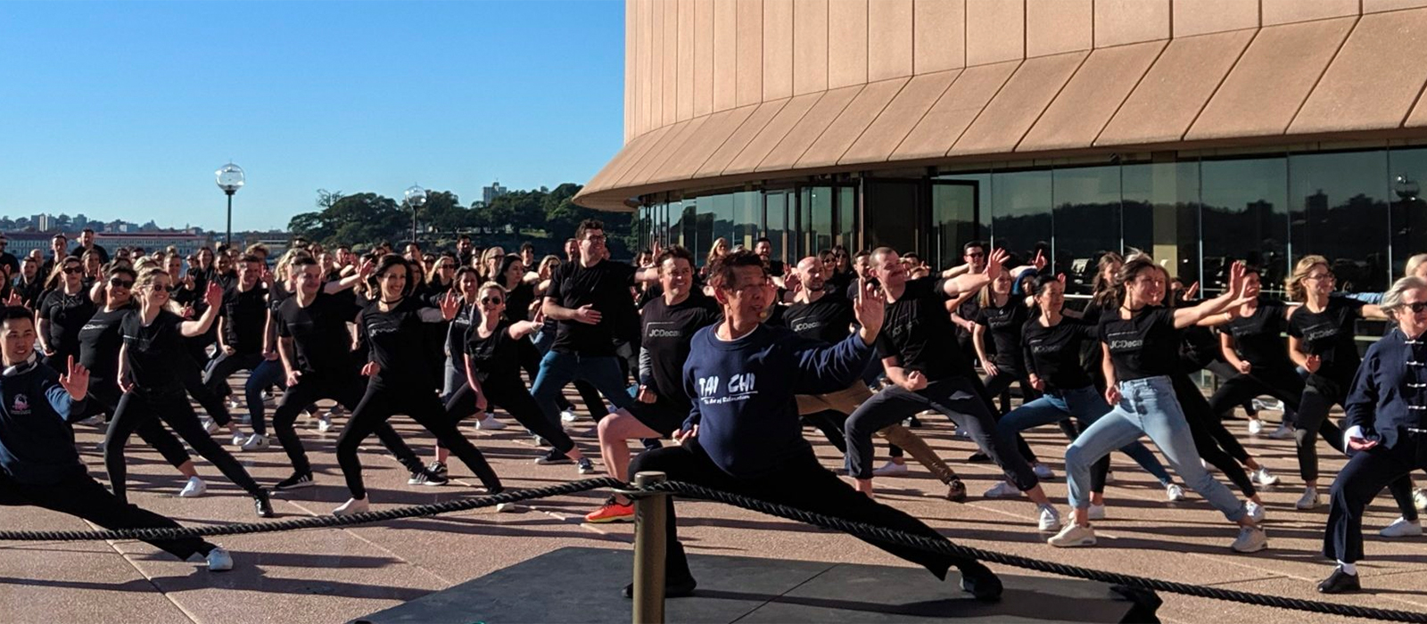 Lotus-Qigong