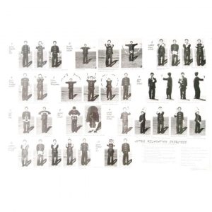 Lotus-Wallchart