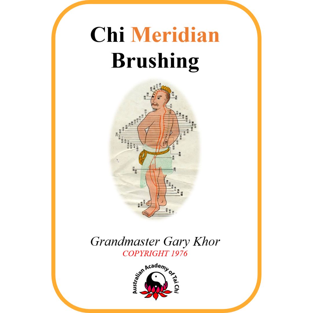 Meridian-Qi-Brushing-Book