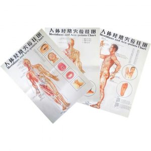 Acupuncture-Wallchart
