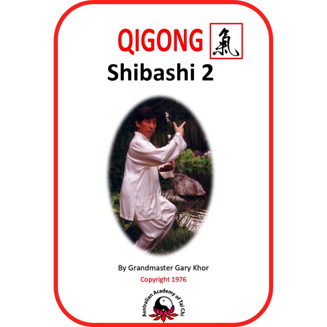 Shibashi-2-Book