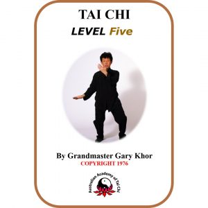 Tai-Chi-Level-5