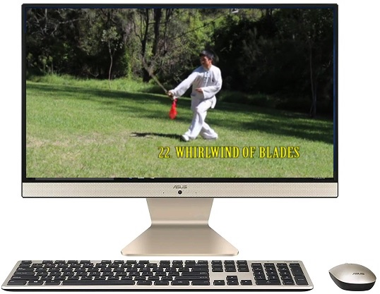 Tai-Chi-Qigong-Couses-Online-Classes-Zoom