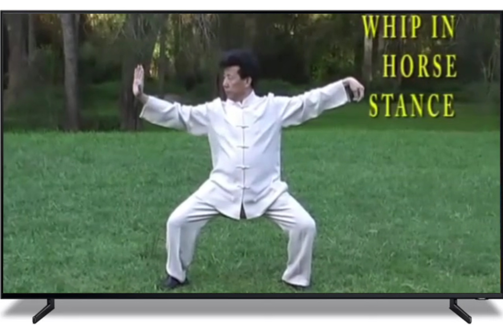 Tai-Chi-Qigong-Courses-online