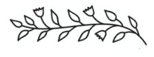 Tai-Chi-Newsletter-Term-3-2023