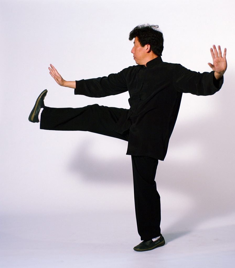 Wu-Shu-Tai-Chi-Qigong