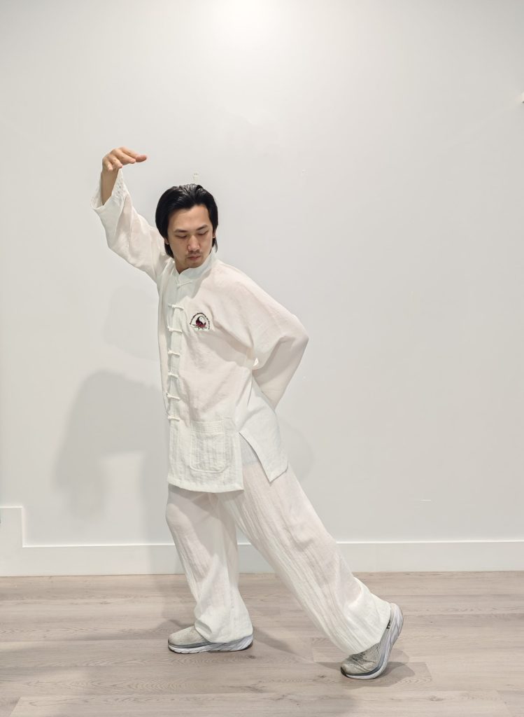 Wild-Goose-Qigong